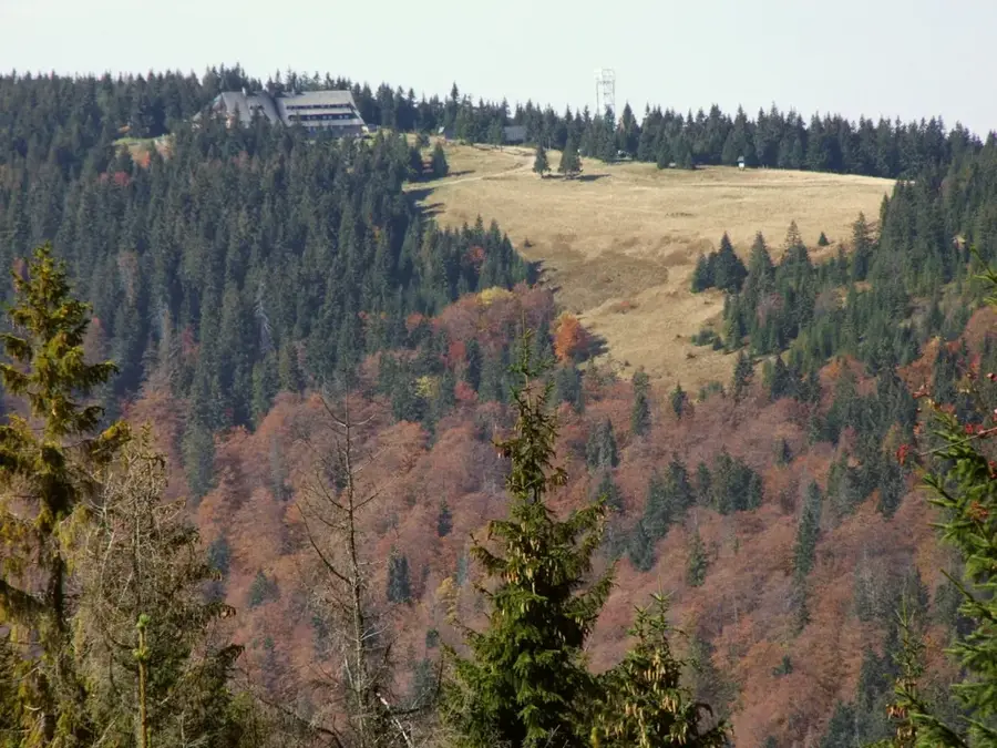 Vârful Turbacz