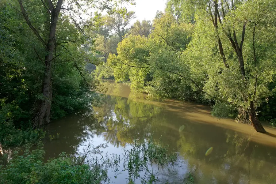 Wisełka