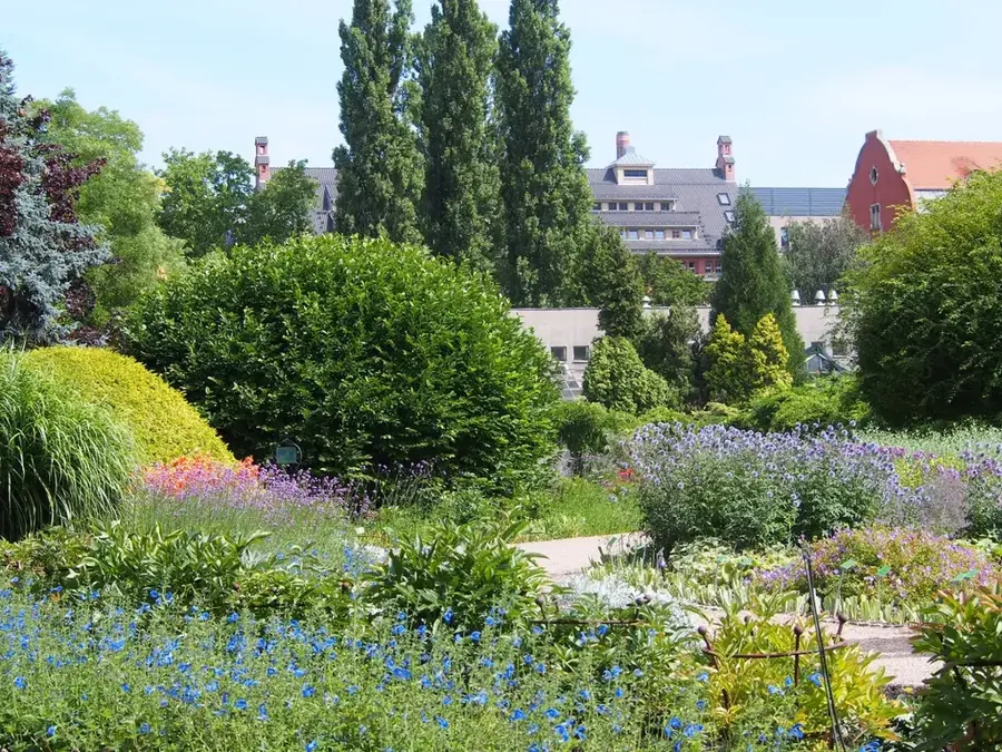 Wrocław Botanical Garden
