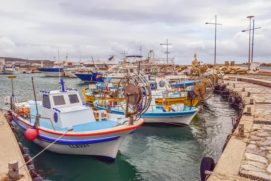Hafen von Ayia Napa — Umweltzentrum Kap Greco (Zypern)