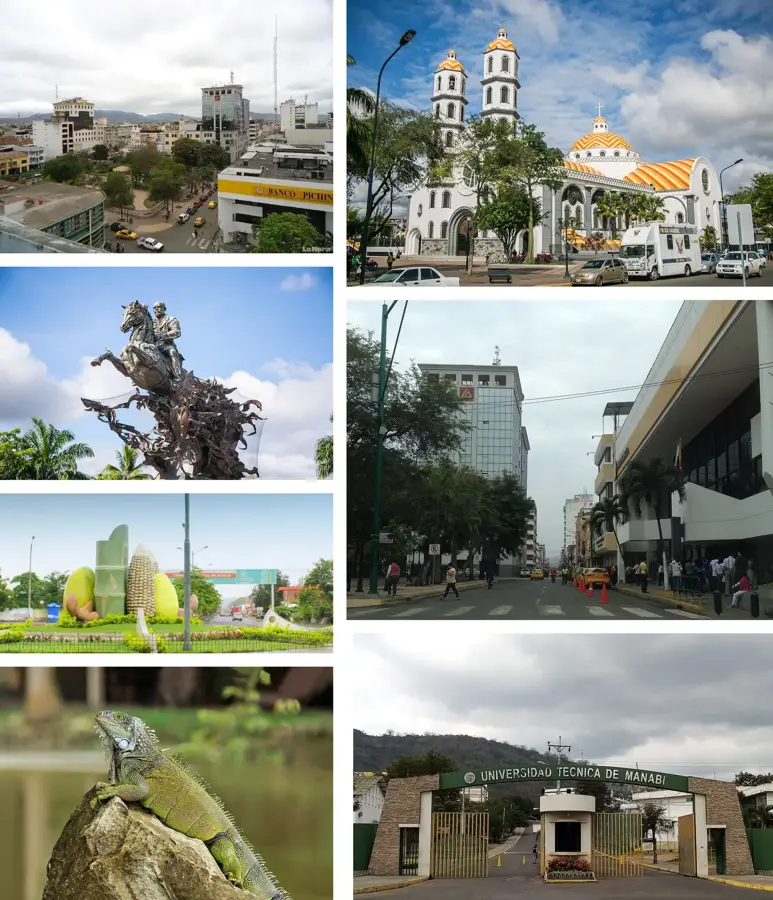 Portoviejo — Tagua Processing (Ecuador)