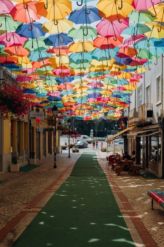 Águeda Bicycle Industry — Mondego River (Portugal)