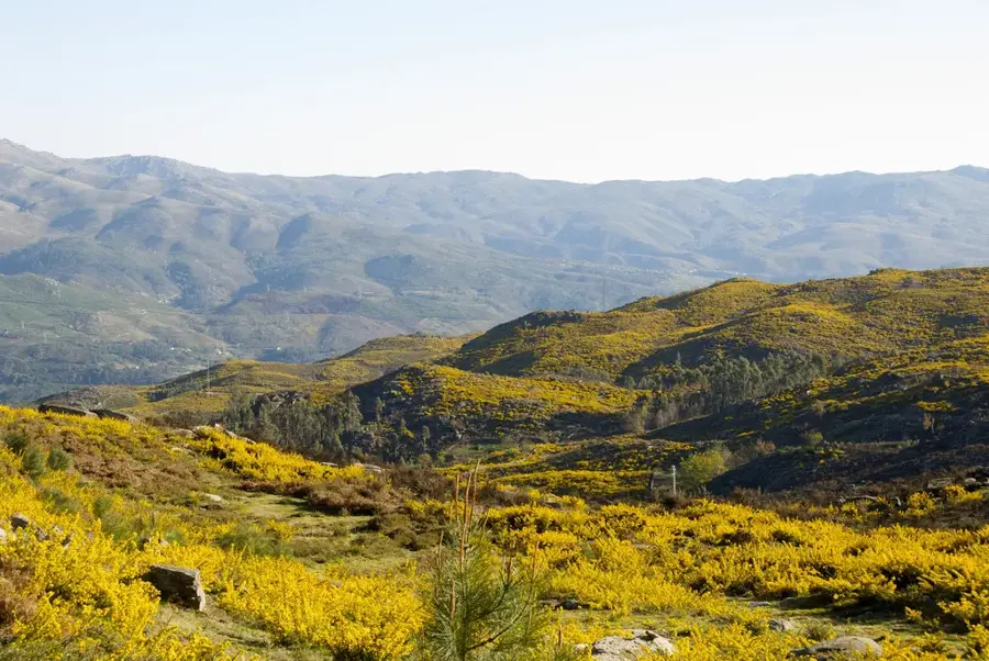 Gerês
