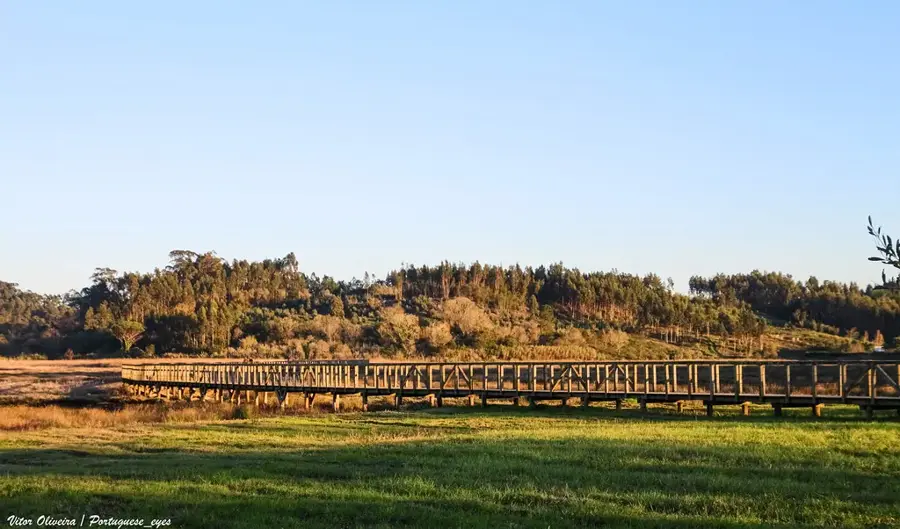 Paço de Valadares — Mondego River (Portugal)