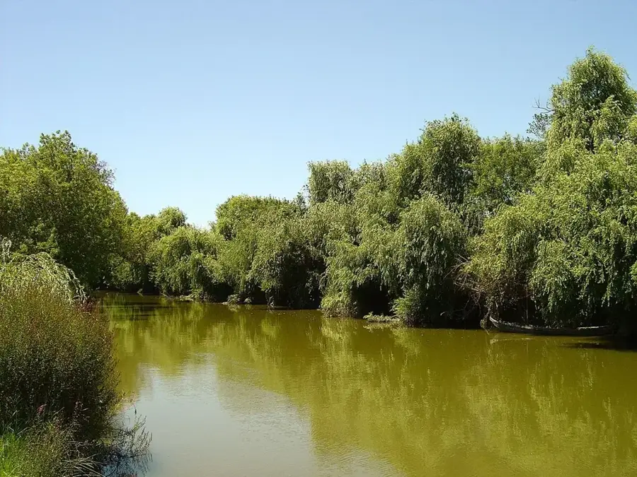 Rezervația Naturală a Estuarului Tejo — Dino Parque Lourinhã (Portugalia)