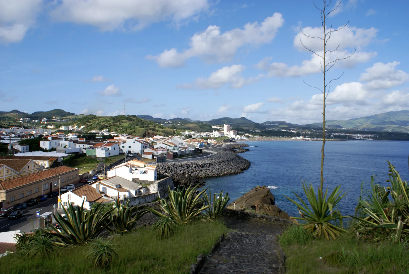 Rosto do Cão (São Roque)