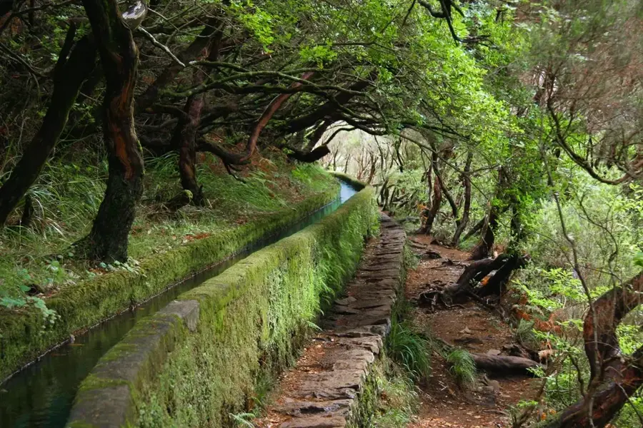 Serra do Caldeirão Ost — Krazy World Zoo (Portugal)