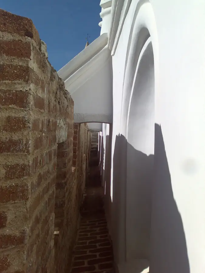 Viana do Alentejo Agriculture Center — Alentejo Olive Groves (Portugal)