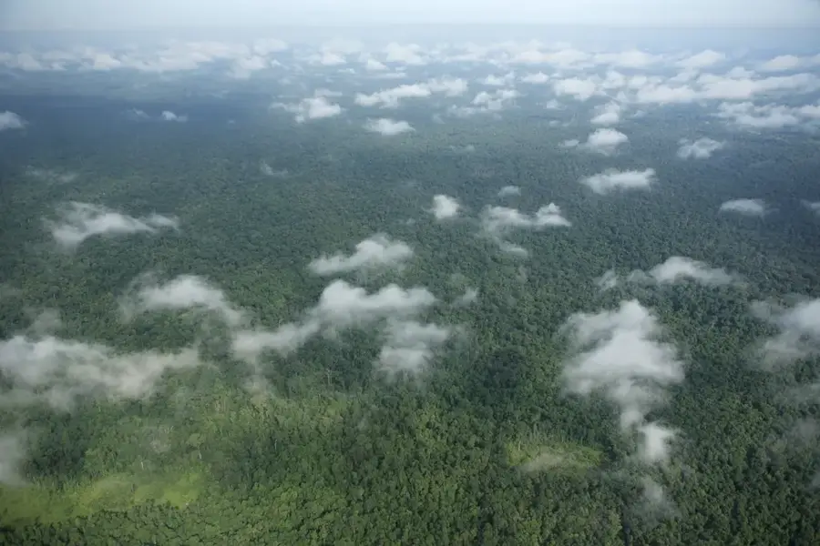 Prey Lang Wald — Suong (Kambodscha)
