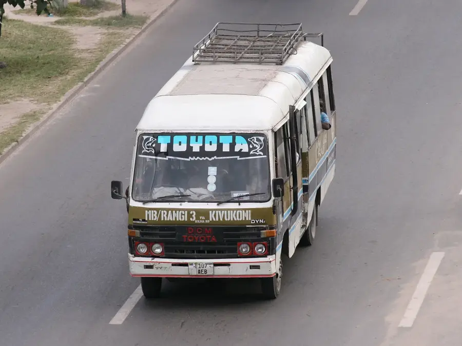 PSPF-Zwillingstürme — Arusha-Park (Tansania)