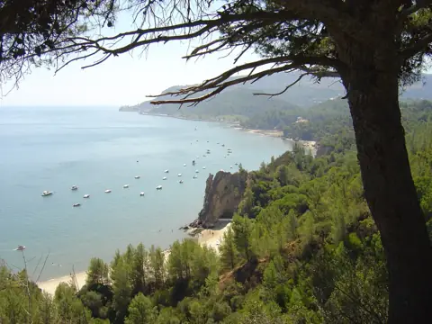 Albarquel Beach