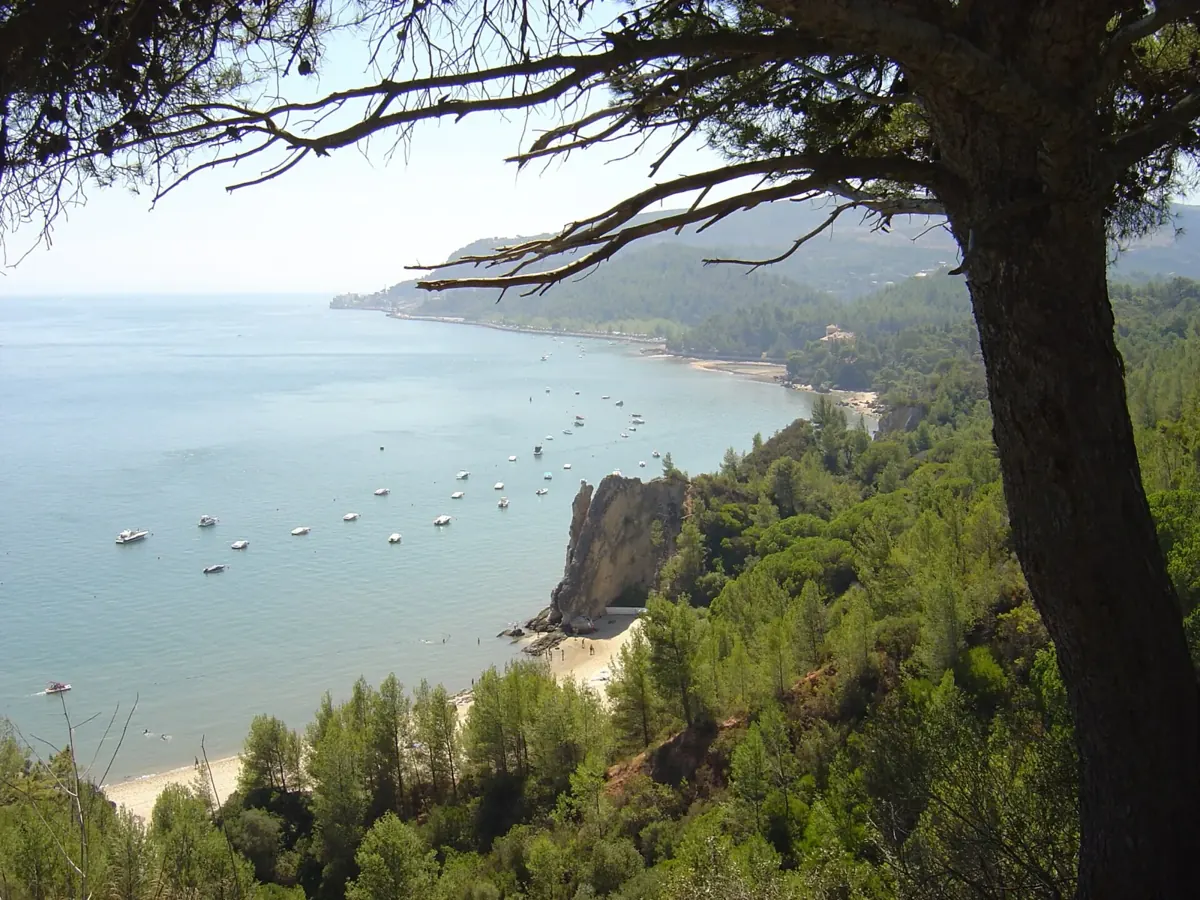 Albarquel Beach