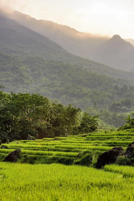 Naturschutzgebiet Pù Luông — Hòa Bình Damm (Vietnam)