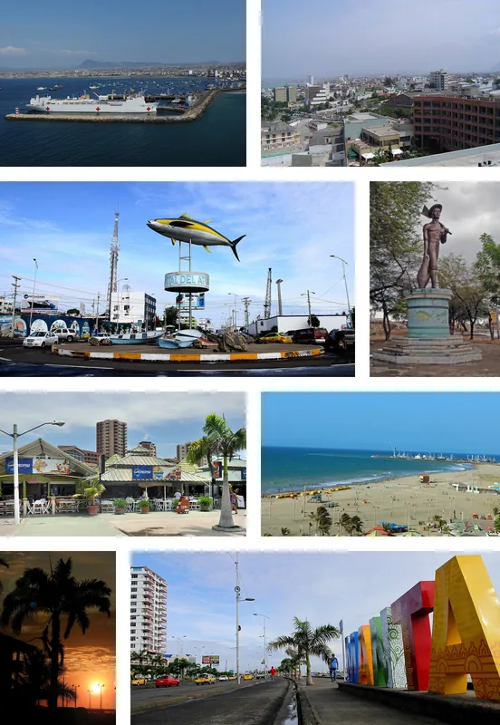 Port of Manta — Tagua Processing (Ecuador)
