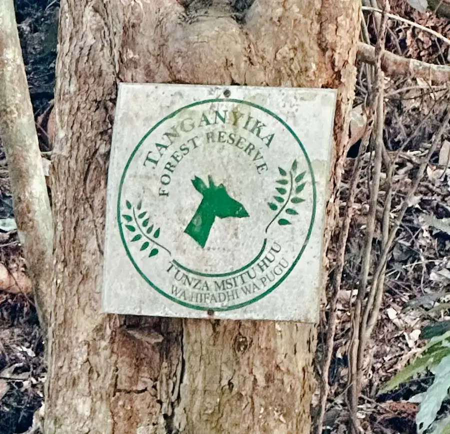 Pugu Forest Reserve — Kondoa (Tanzania)