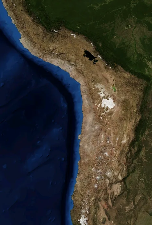 Puna de Atacama — Llullaillaco (Argentina)