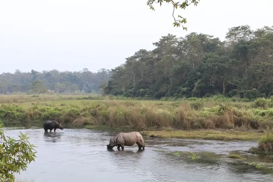 Punta Izopo National Park — Comayagua (Honduras)