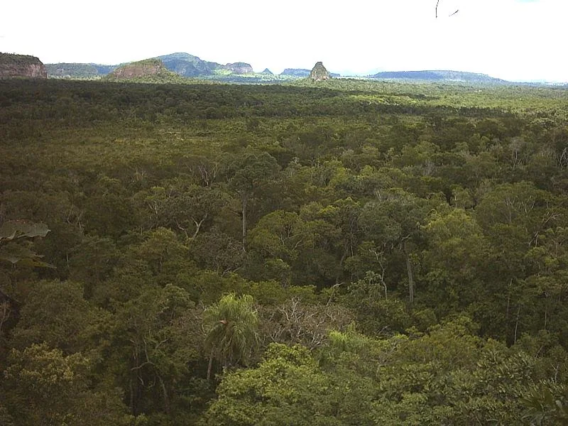 Nationalpark Cerro Corá — Cerro Memby (Paraguay)