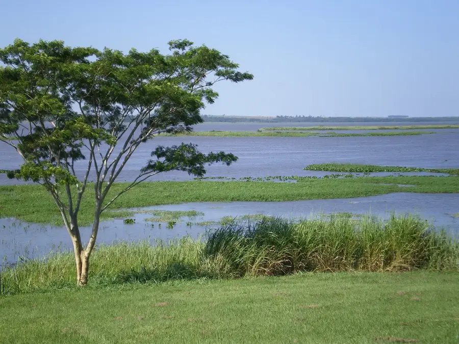Mbaracayú-Naturreservat