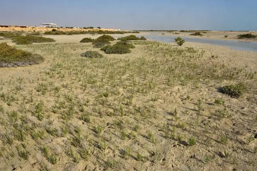 Jebel Fuwairit — Jebel Fuwayrit (Katar)