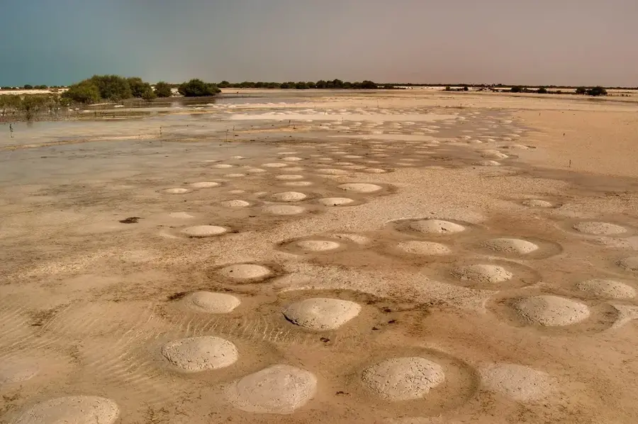 Umm-Tais-Nationalpark — Jebel Fuwayrit (Katar)