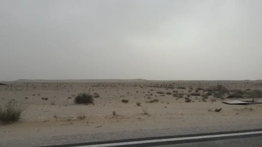 Qurayn Abu al-Bawl