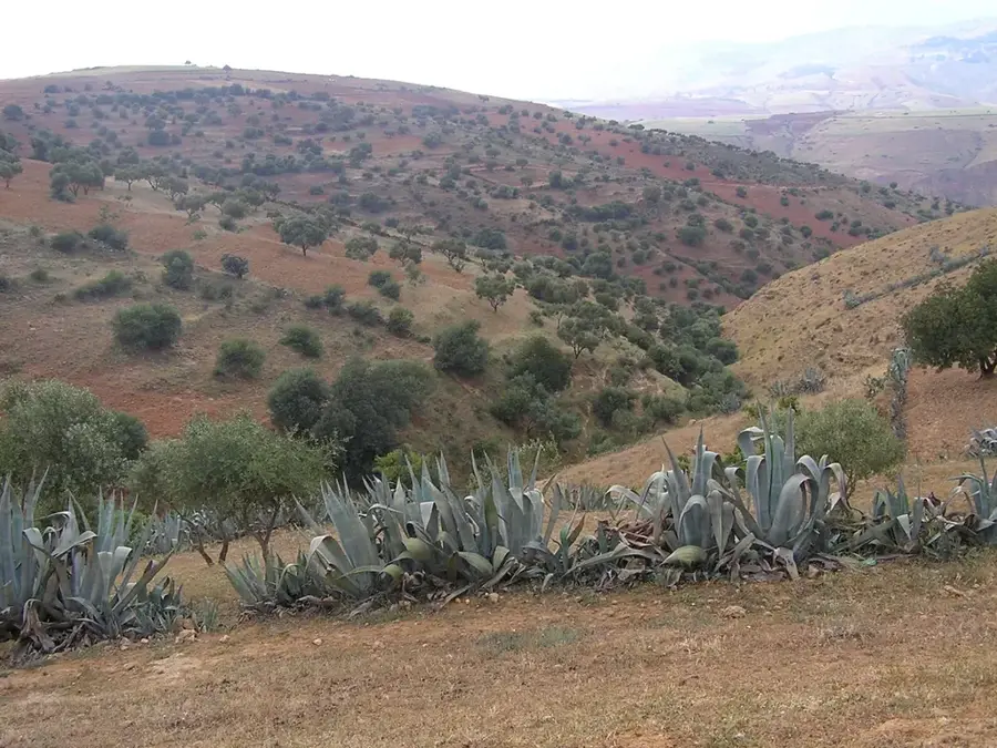 Relizane — Baringo-tó (Kenya)
