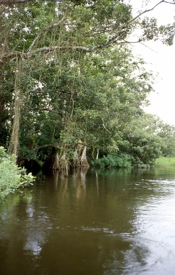Bocay River — Siuna (Nicaragua)