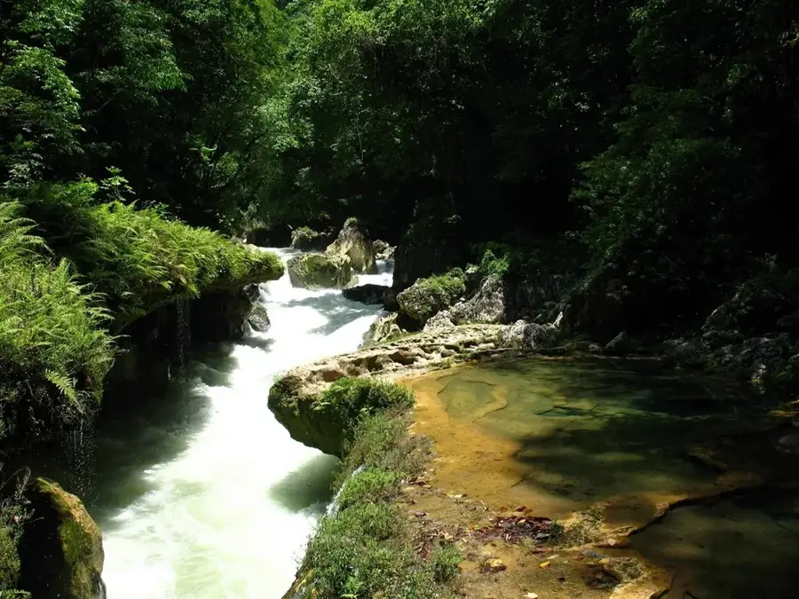 Cahabón River — Celestun Reserve (Mexico)