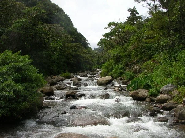 Caldera River — Historic Gandoca-Manzanillo (Costa Rica)
