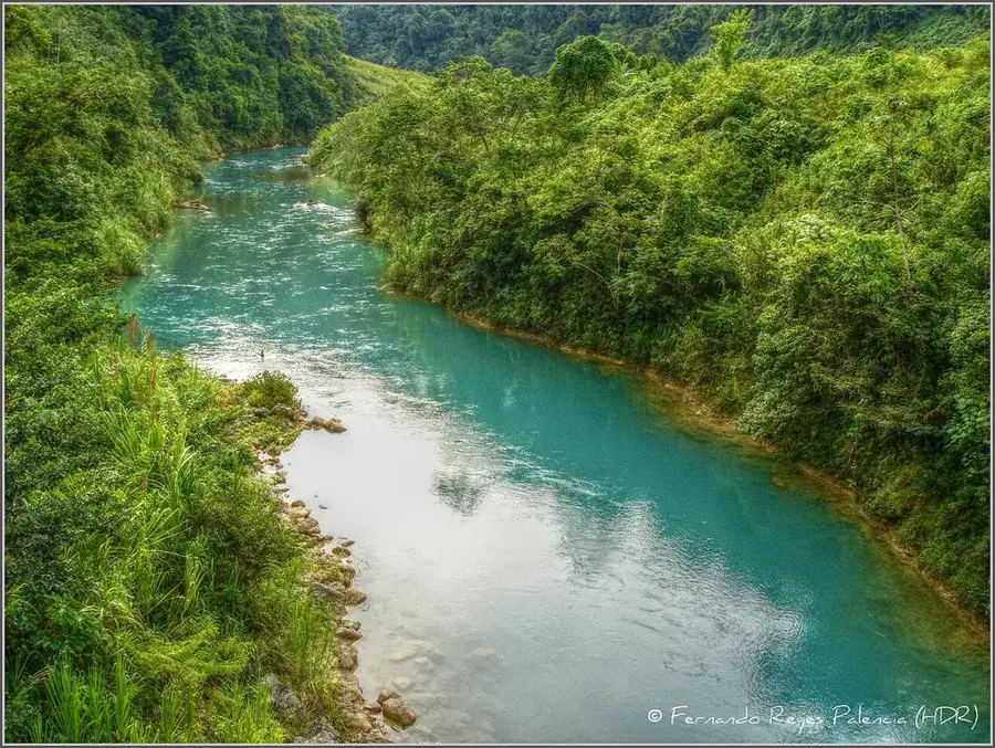 Chixoy or Negro River — Celestun Reserve (Mexico)