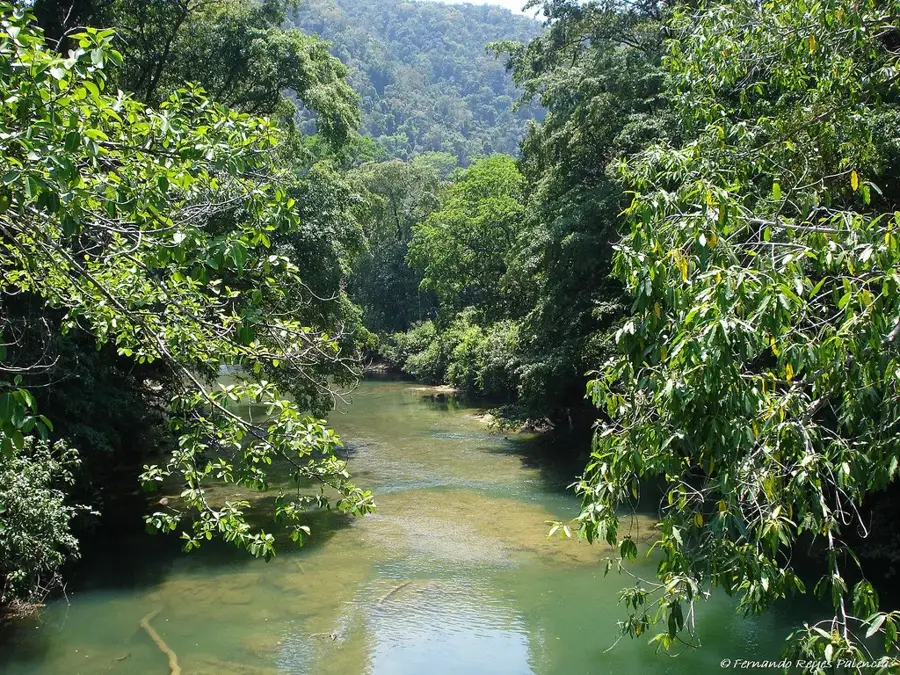 Sarstoon River — Peninsula Yucatán (Mexico)