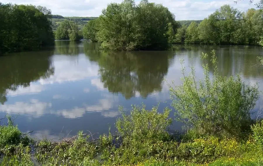 Blies – Fluss