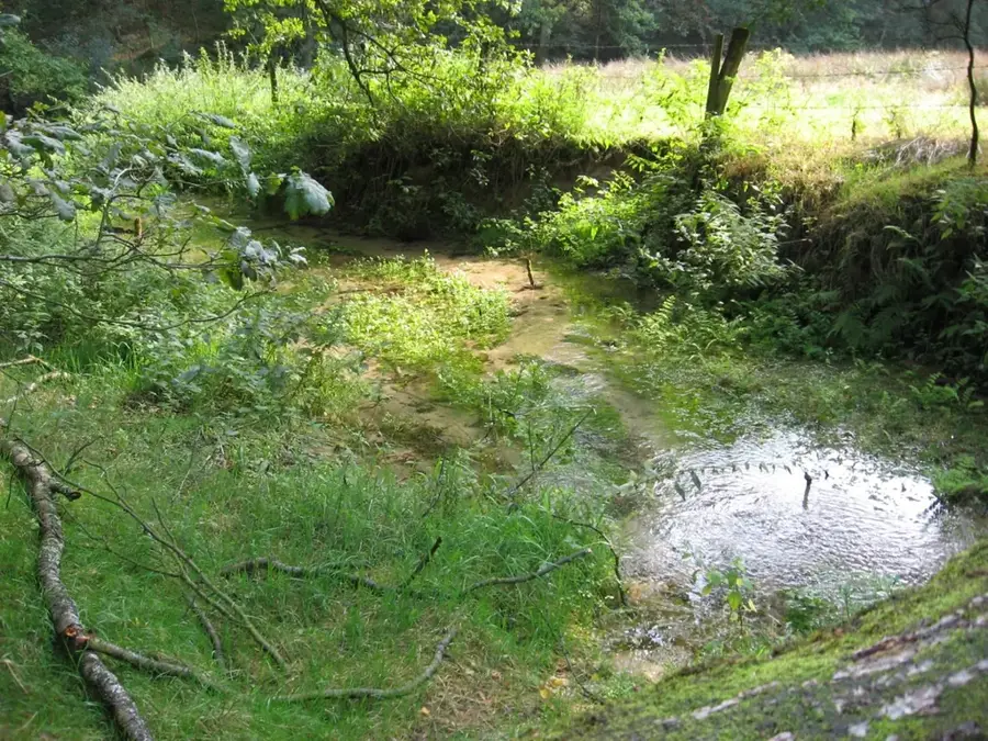 Ems – Fluss