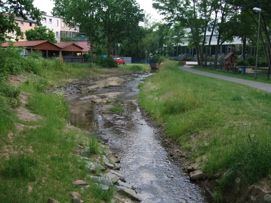 Main (Germany)
