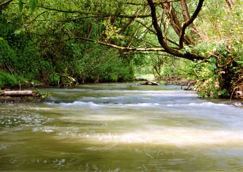 Rabca River — Esterházy Palace (Fertőd) (Hungary)