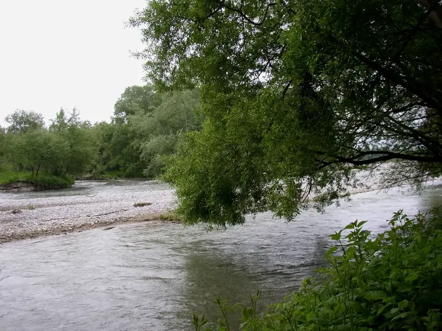 Sárvíz