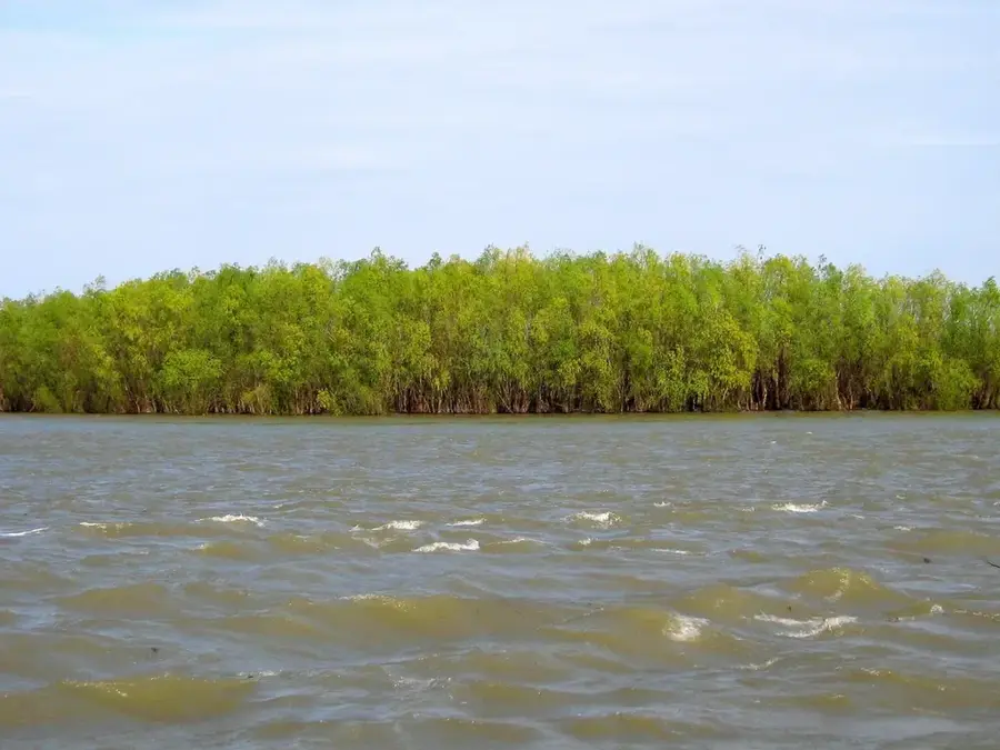 Parcul Natural Balta Mică a Brăilei — Brăila (România)