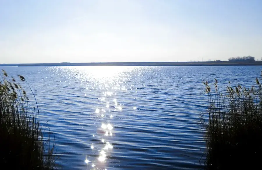 Lacul Amara (România)
