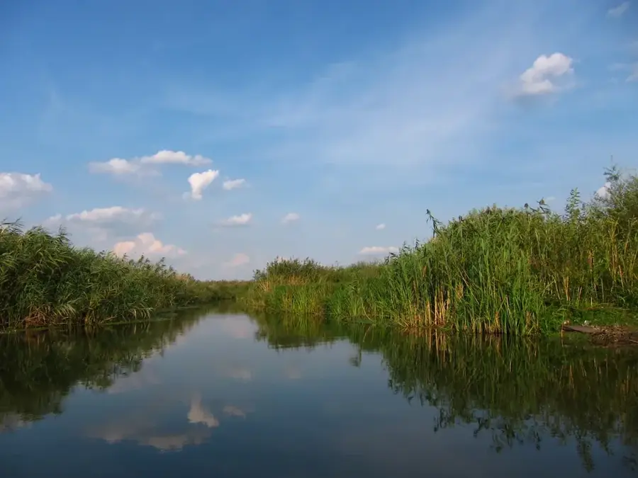 Parcul Natural Comana — Giurgiu (România)