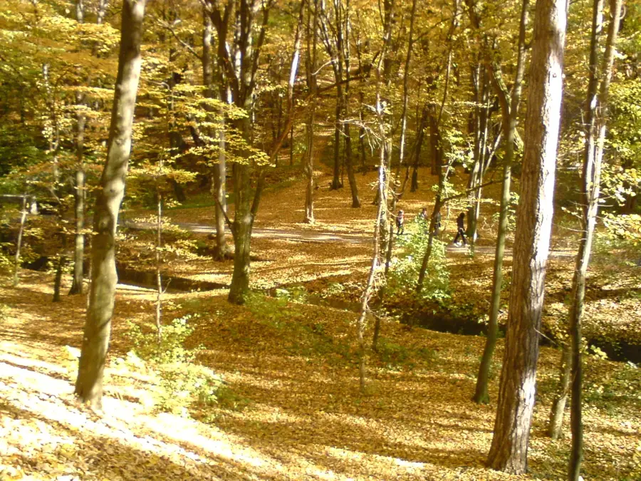 Parcul Trivale — Pitești (România)