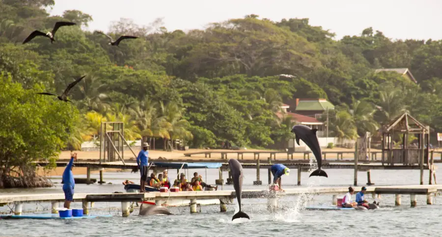 Roatan Marine Science Center — Patuca River (Honduras)