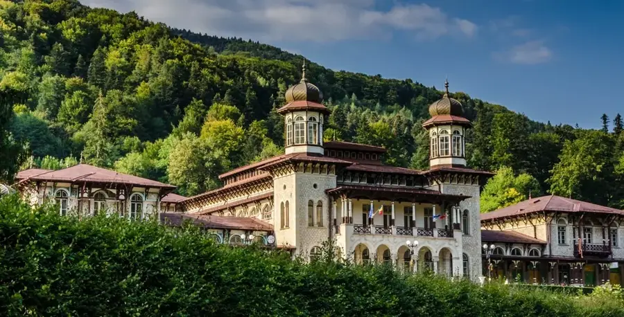 Palatul Administrativ Bacău — Moinești (România)