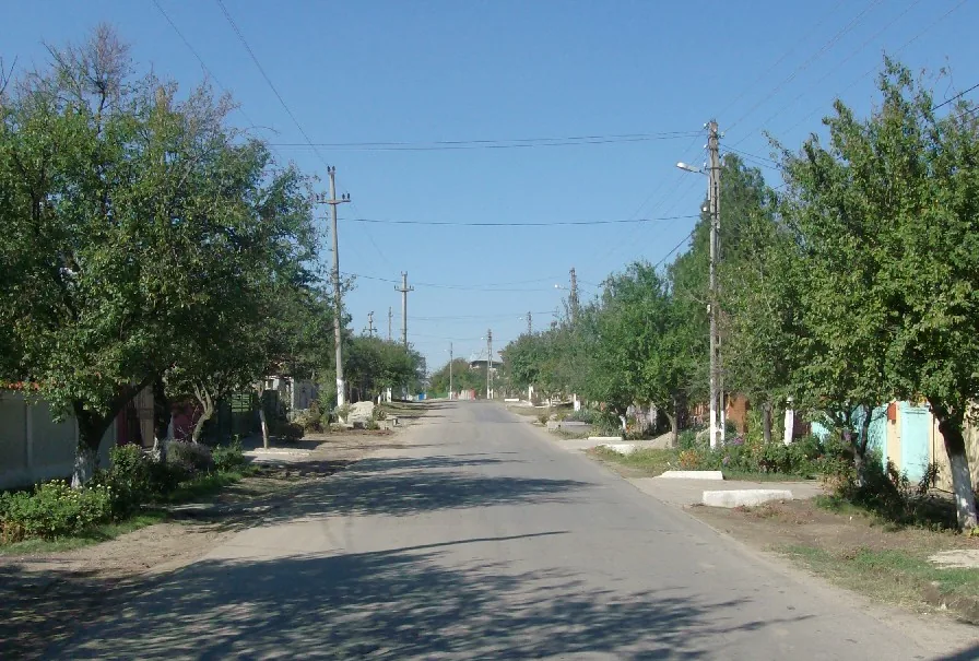 Dragomirești-Vale – oraș