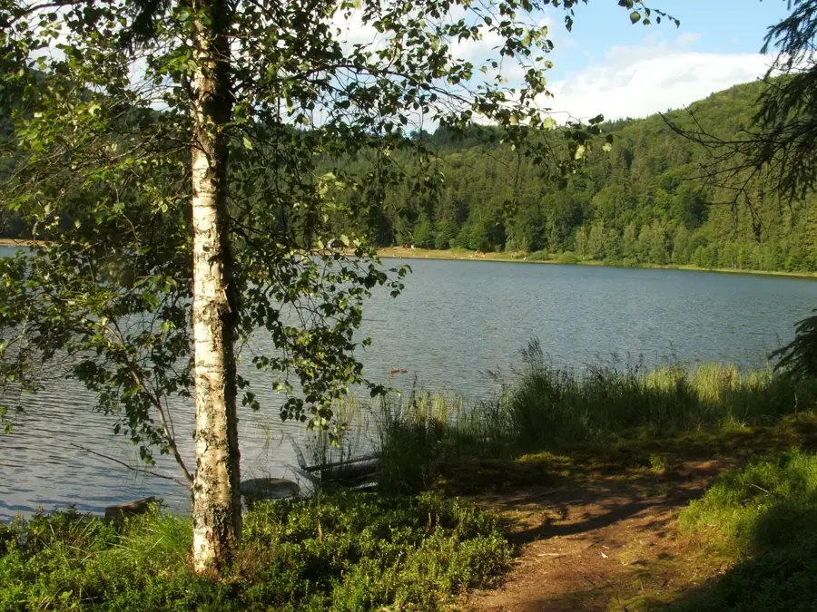 Lacul Sfânta Ana – oraș