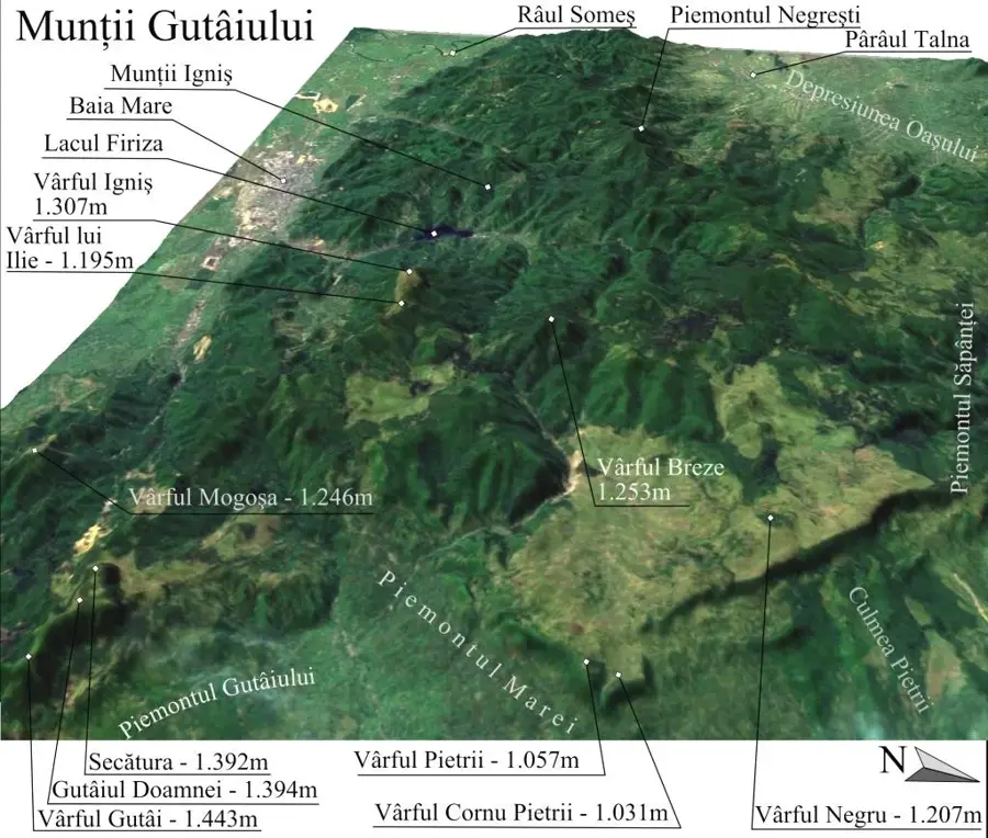 Munții Gutâi – munte
