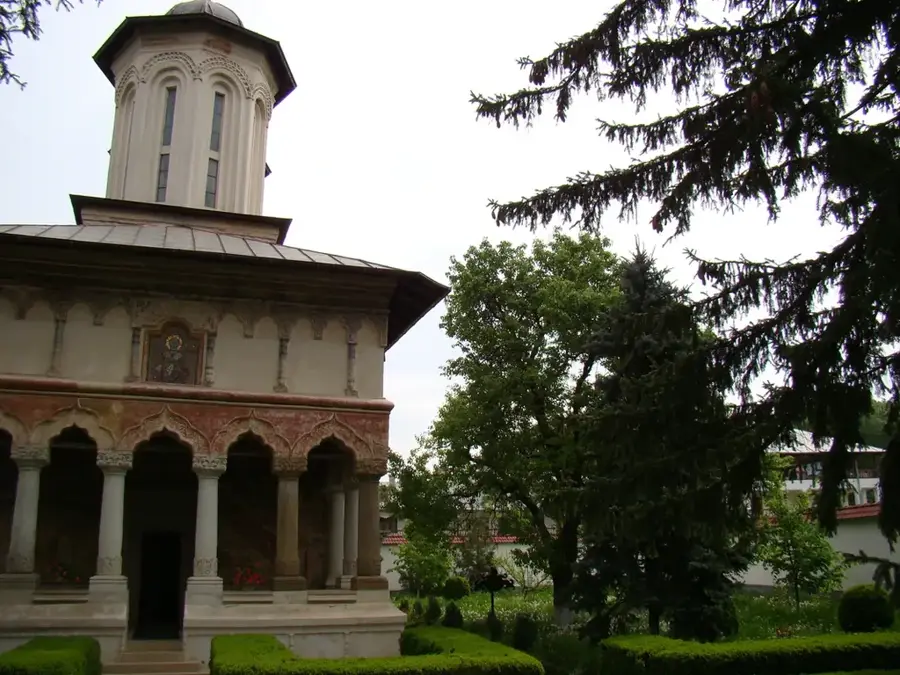 Nuci – oraș