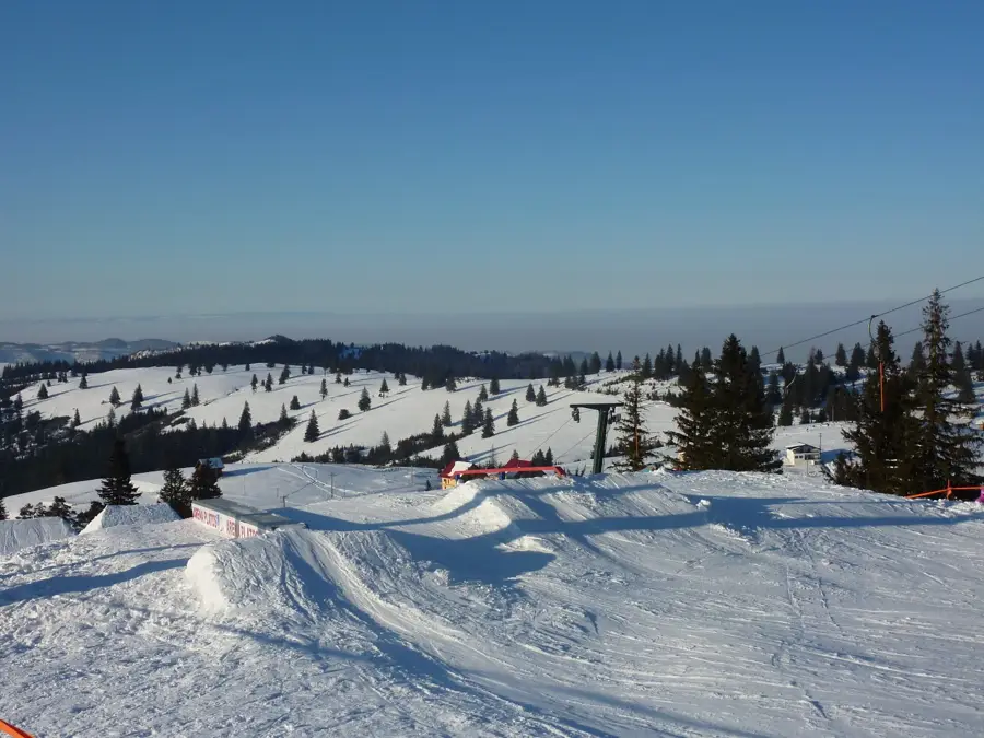 Păltiniș – oraș