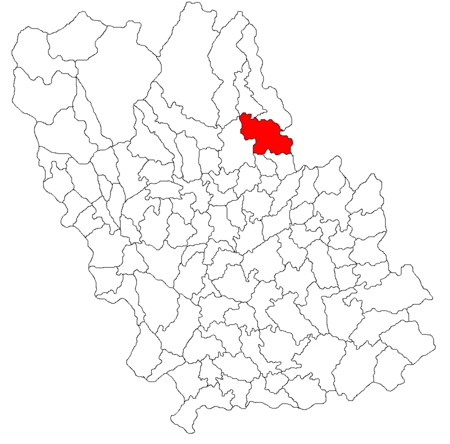 Posești – oraș