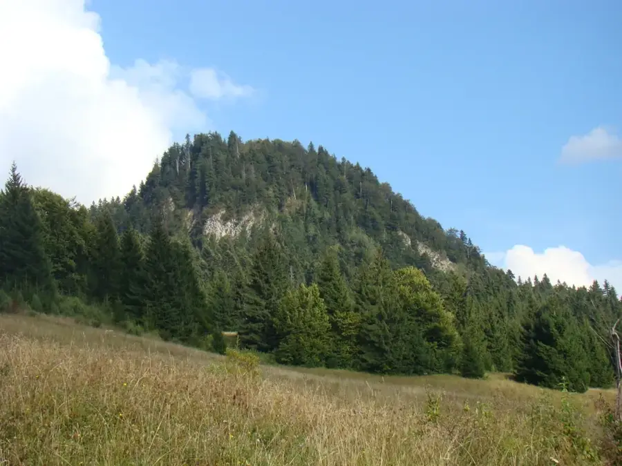 Detunata Flocoasă — Aiud (România)
